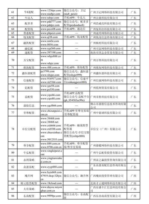 朵朵配资网